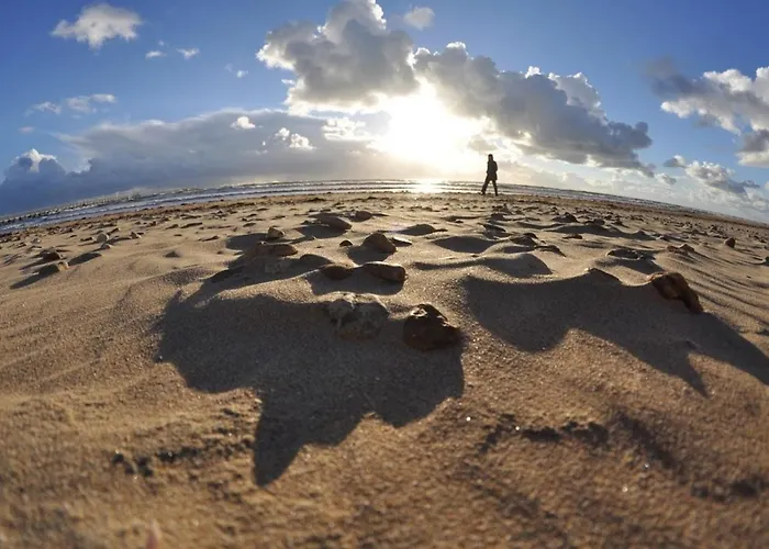 Confortable Avec Vue Sur Et Wifi à - Fr-1-323-418 * Saint-Jean-de-Monts
